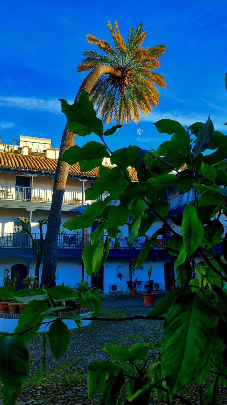 Апартаменты Andalusian Courtyard Севилья Экстерьер фото