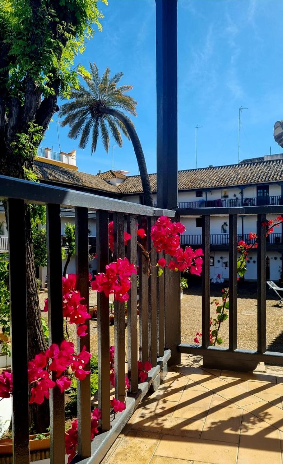 Апартаменты Andalusian Courtyard Севилья Экстерьер фото