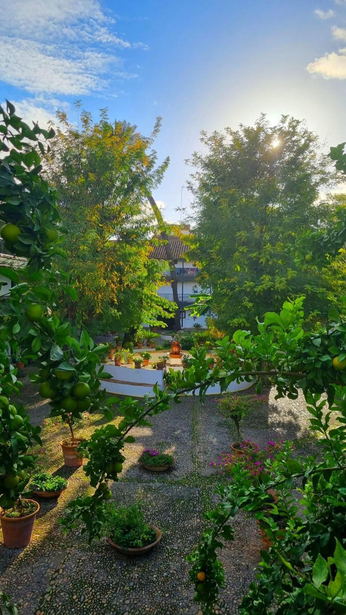 Апартаменты Andalusian Courtyard Севилья Экстерьер фото