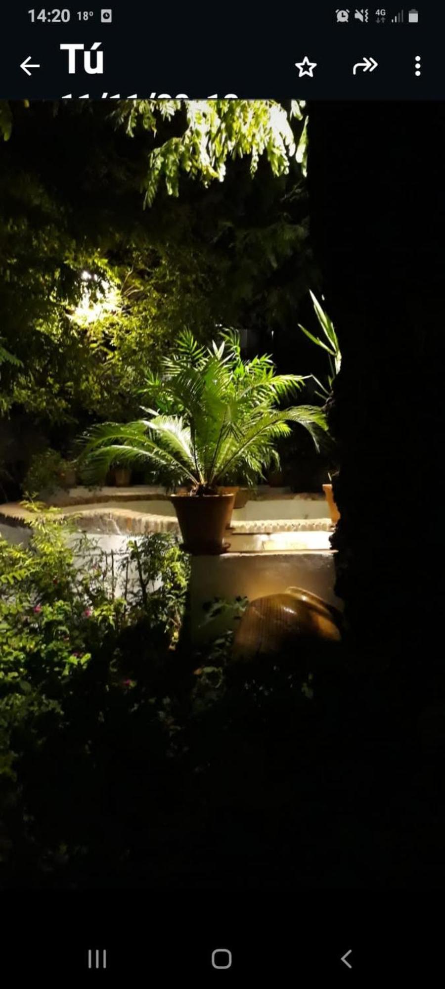 Апартаменты Andalusian Courtyard Севилья Экстерьер фото