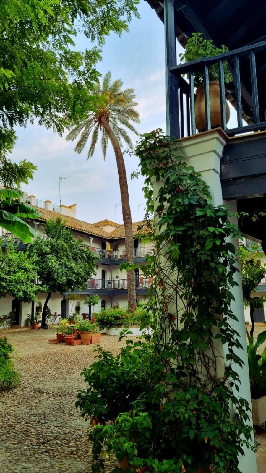 Апартаменты Andalusian Courtyard Севилья Экстерьер фото