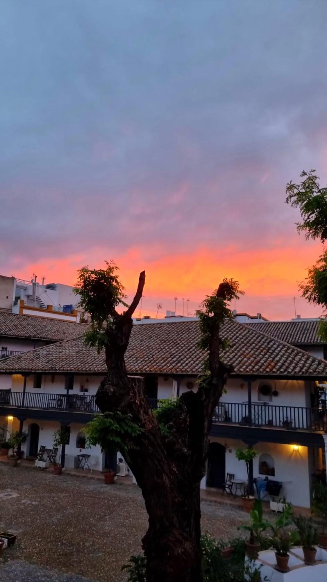 Апартаменты Andalusian Courtyard Севилья Экстерьер фото