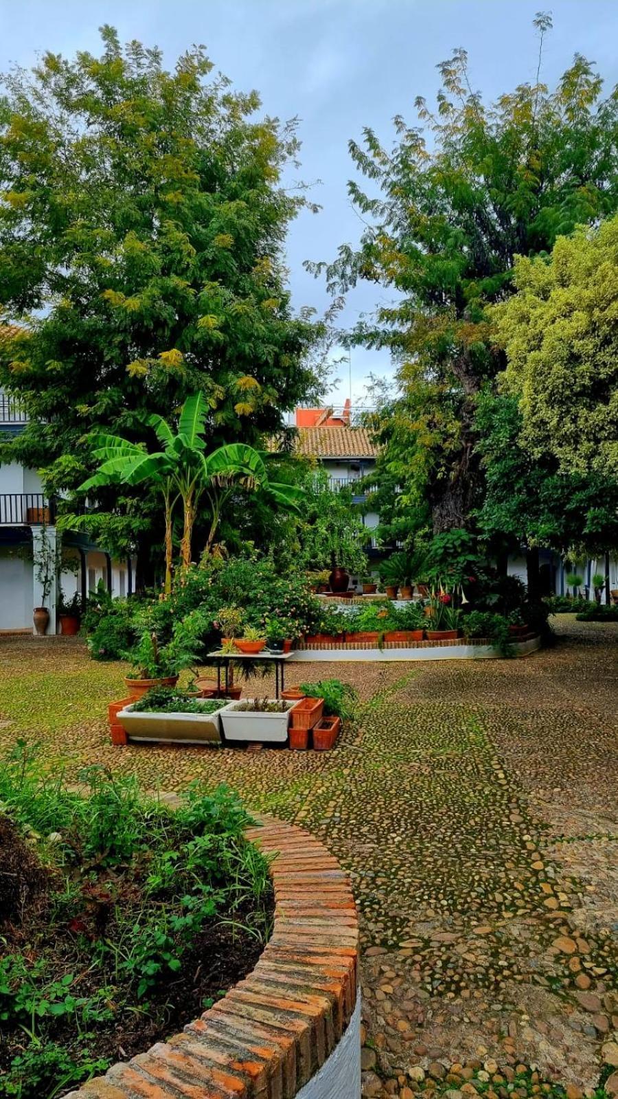 Апартаменты Andalusian Courtyard Севилья Экстерьер фото
