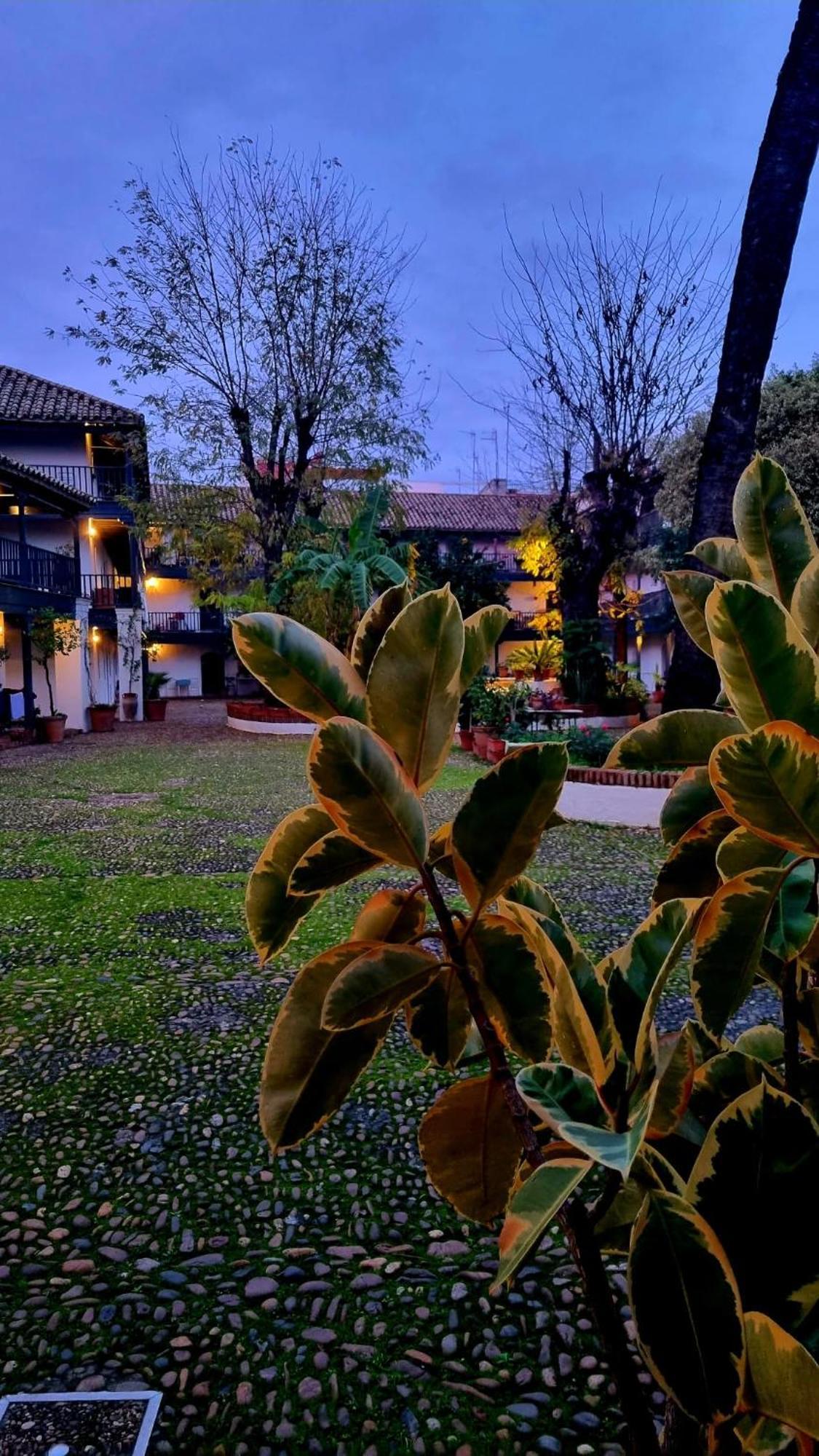 Апартаменты Andalusian Courtyard Севилья Экстерьер фото
