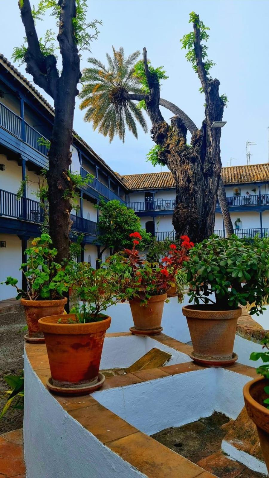 Апартаменты Andalusian Courtyard Севилья Экстерьер фото
