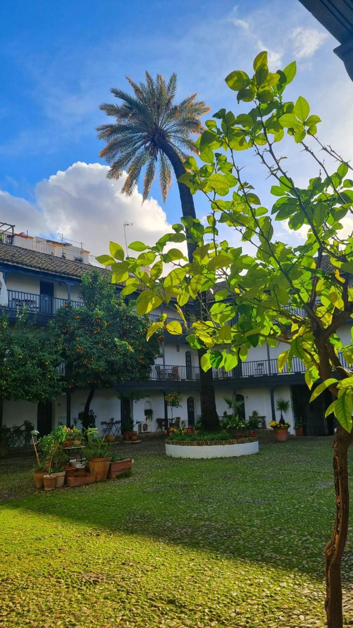 Апартаменты Andalusian Courtyard Севилья Экстерьер фото