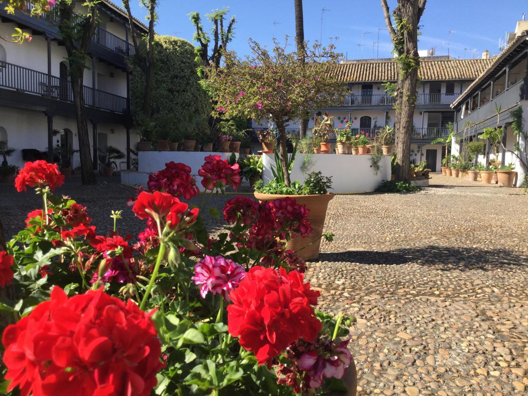 Апартаменты Andalusian Courtyard Севилья Экстерьер фото