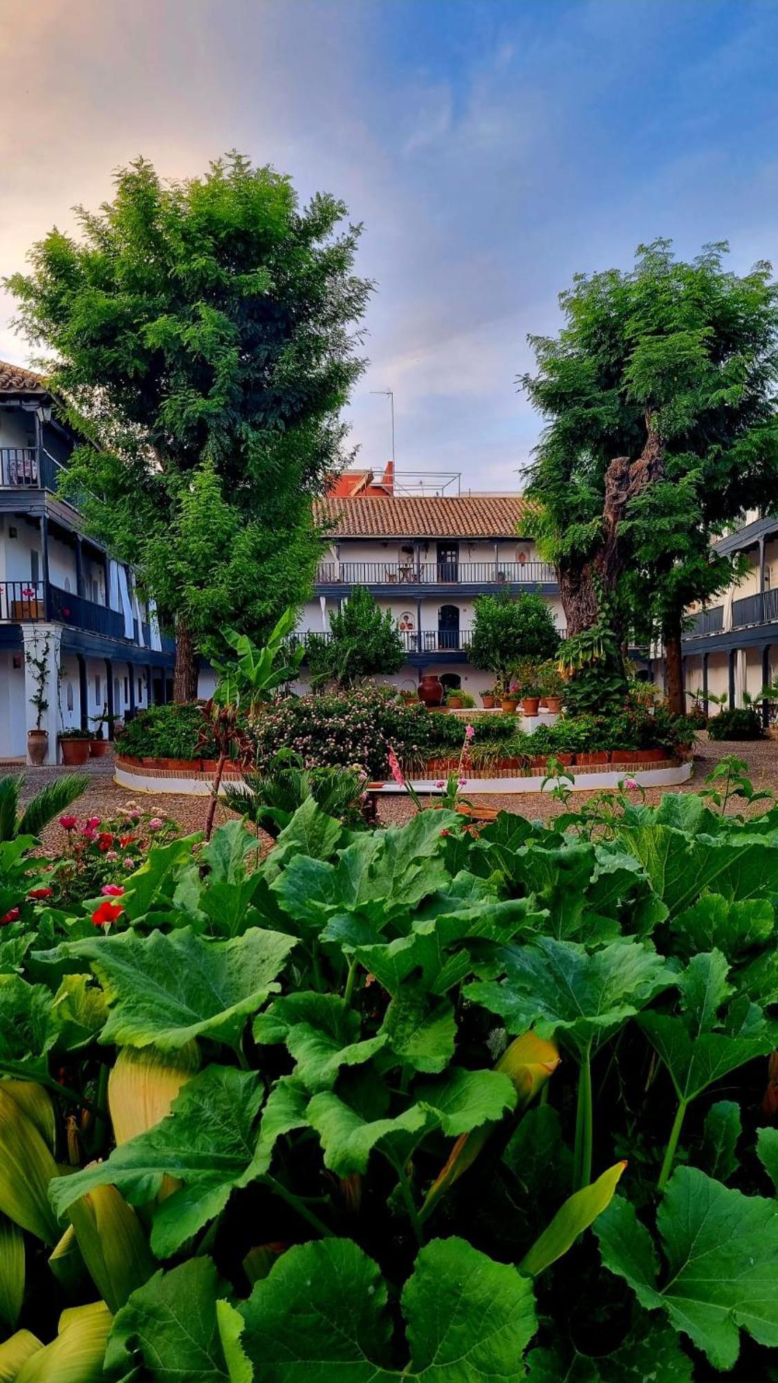 Апартаменты Andalusian Courtyard Севилья Экстерьер фото