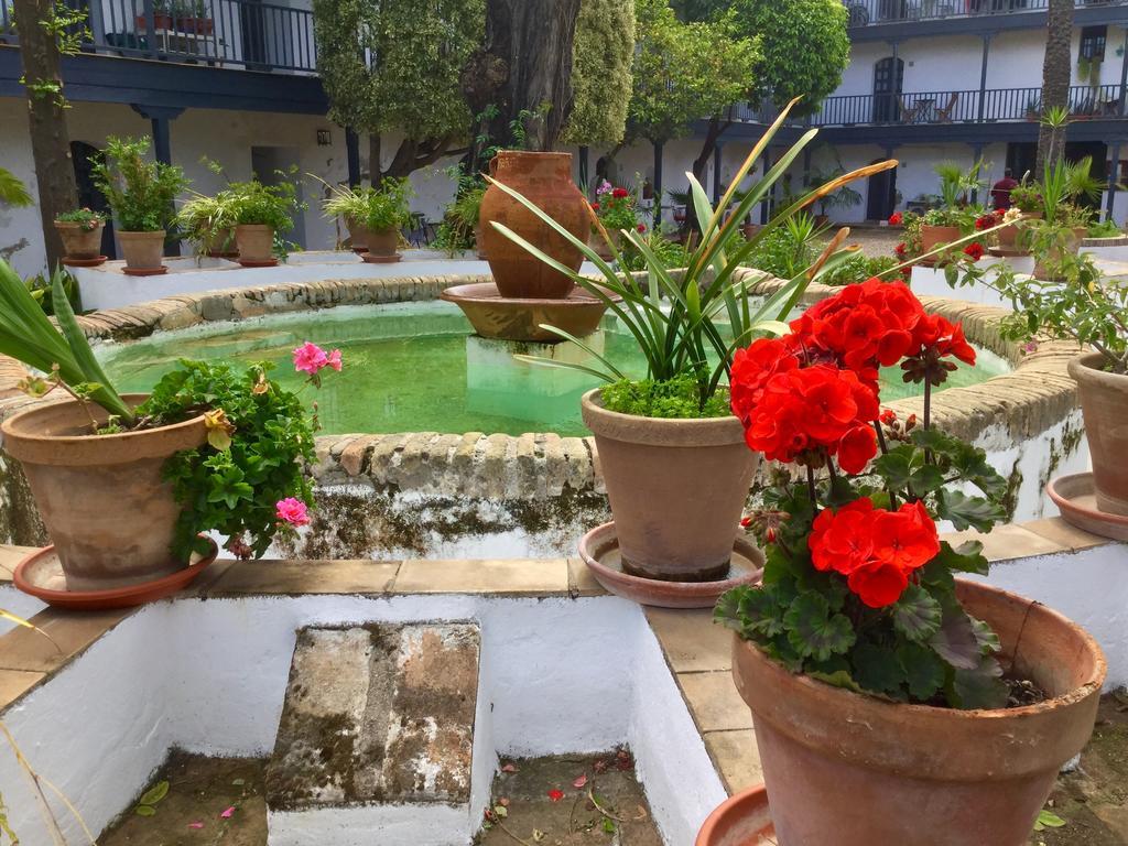 Апартаменты Andalusian Courtyard Севилья Экстерьер фото