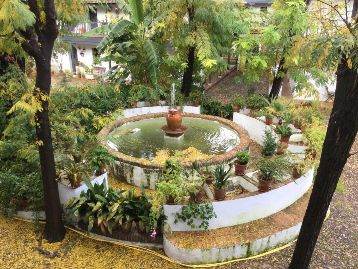 Апартаменты Andalusian Courtyard Севилья Экстерьер фото